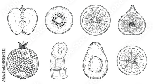 Exotic fruits vector set hand drawn sketch healthy food and drink
