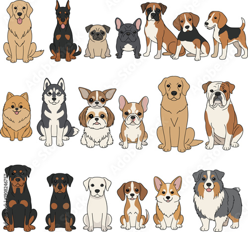 Vector illustrations of eighteen cute dog breeds including golden retriever bulldog husky and beagle for pet shop and animal care concepts।