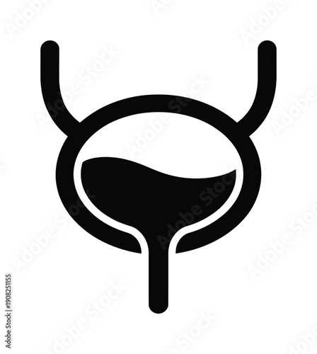 vector illustration of the male bladder organ system