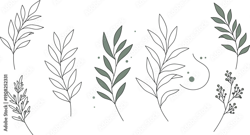 Fototapeta premium A collection of different plant leaves and branches in a line drawing style