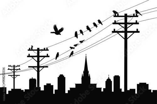 Silhouette of Birds on Power Lines Above City Skyline with Church Steeple electricity poles