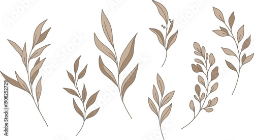 Watercolor illustration of several dried wheat or grass stalks on white background