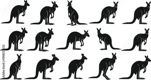 Black Silhouette Vector Illustration Set of Kangaroos in Various Poses and Gestures Isolated on White Background for Wildlife Nature Design