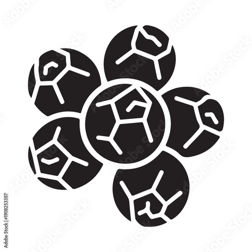 A striking black and white graphic depiction of a flower composed of circular segments