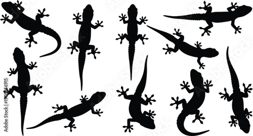 Gecko Silhouette Collection Featuring Climbing Wall Lizards in Various Poses Isolated on White Background for Tropical Wildlife Design