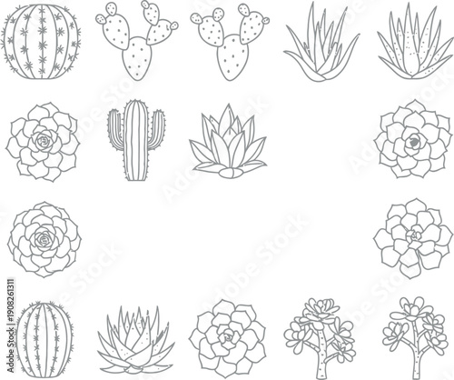 Collection of various hand drawn black and white outline icons representing different types of succulent plants and cacti suitable for coloring books or graphic design projects