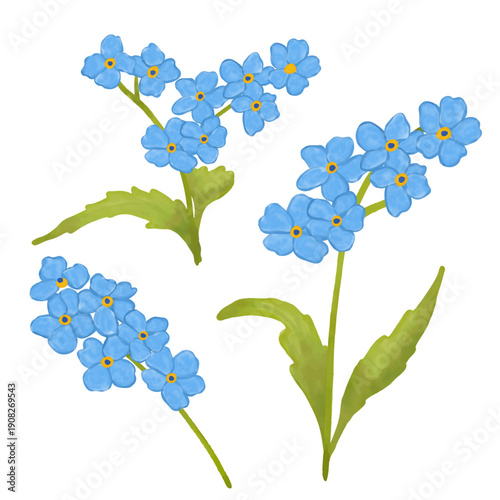 Hand-painted watercolor forget-me-not flower set featuring delicate blue blossoms in soft natural tones. Botanical clipart collection 