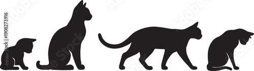 Silhouette of a cat birth to Cat death complete life season set in black and white silhouette vector with transparent background 