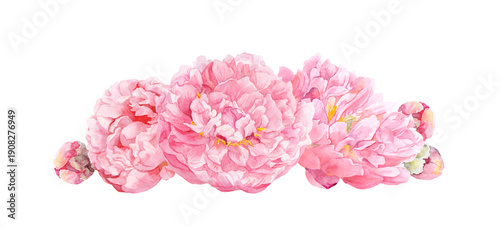 Watercolor floral border with pink peonies and buds in a balanced horizontal arrangement on white background. Romantic botanical clipart for wedding invitations, greeting cards, stationery, packaging