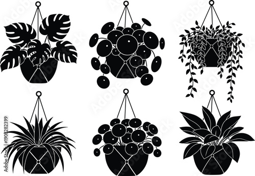 Hanging houseplants silhouette set, indoor potted plants leaves basket decor isolated on white background vector illustration collection