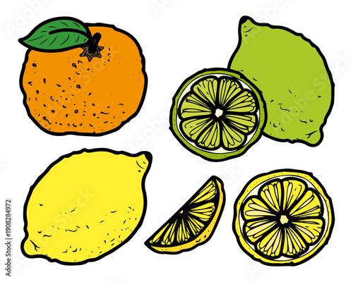 Set citrus fruits. Hand drawn flat vector. Lemon, lime, tangerine, orange. Refreshing food. Vegetable garden. Sour vitamin C. Healthy eating. Vegetarian fresh product. Organic market. Illustration.