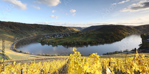 loop of Moselle river, Germany