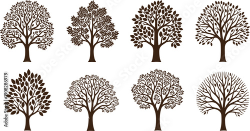 Six trees with varying foliage isolated on transparent background