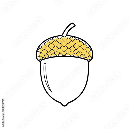 Acorn with textured cap in outlined style on white background  