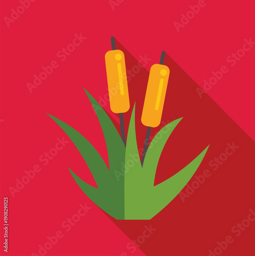 Cattail plants with green leaves and brown heads on a red background with long shadow
