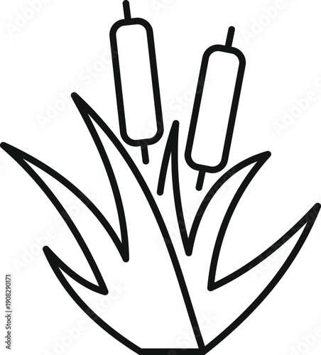 Cattails growing in a marsh wetland, representing natural environment and ecosystem