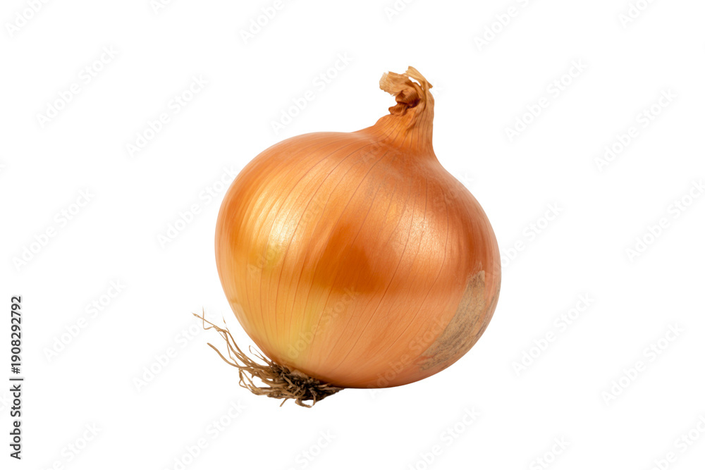 custom made wallpaper toronto digitalFresh Onion Isolated on Transparent Background. Brown Onion Bulb PNG.