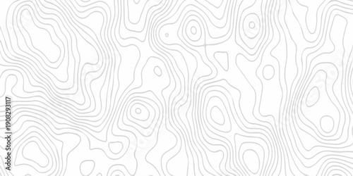 Black and white lines seamless Topographic map patterns, topography line map. Vintage outdoors style. The stylized height of the topographic map contour in lines and contours isolated on transparent.