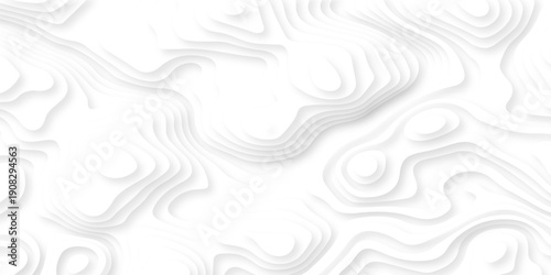 Papercut layers and paper cut topography vector art background banner texture. Abstract white paper cut background with realistic shapes. Modern vector illustration for concept design.