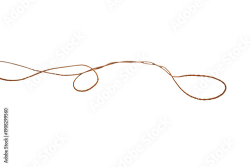 Obraz na plátně Single strand of brown rope or twine forming loose loops on Transparent background, isolated minimalist object for design elements, texture, and abstract line concept