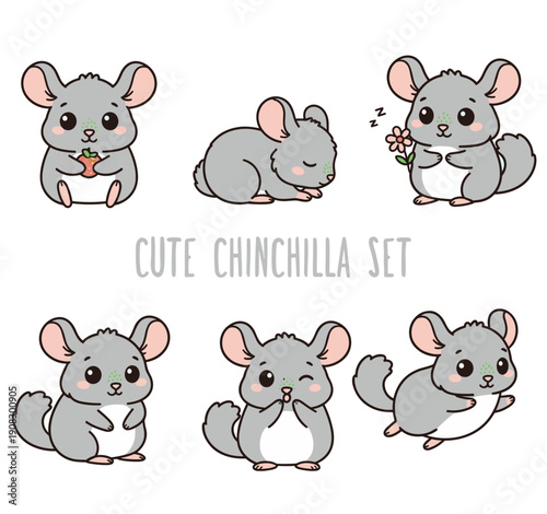 Cute chinchilla character set showing different poses including sleeping eating and winking for pet lovers and rodent wildlife illustration