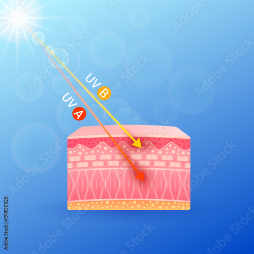 Red orange arrows light UVA UVB ultraviolet penetrate cell skin layers attacks. For design cosmetic products ads. Vector.