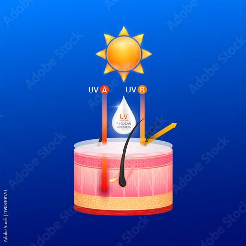 Regular sunscreen UV protection. White cream drop are absorbed into the skin. Red orange arrows light UVA UVB ultraviolet penetrate cell skin layers attacks. For design cosmetic products ads. Vector.