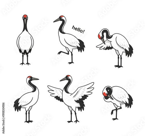 Red-crowned Crane Bird Illustrations in Different Natural Poses and Actions, Elegant Wildlife Vector Set for Nature and Asian Culture Concepts