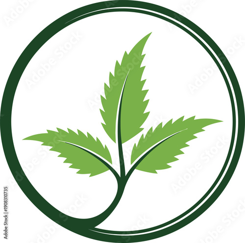 Green Cannabis Leaf Plant Emblem Logo Isolated Minimal Nature Design