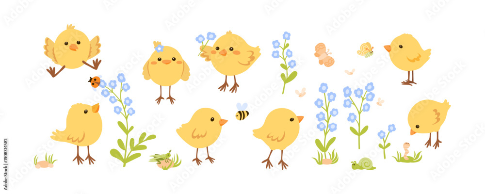 Fototapeta premium Cute yellow chickens, beetles and spring flowers. Vector illustration isolated on white. Сharming domestic birds set. Simple design elements collection.