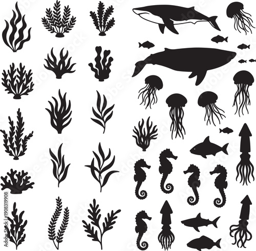 Collection of black silhouette marine life and seaweed on white background also transparent background