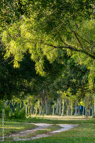 path in the park