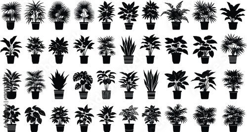 Collection of Potted Indoor House Plants Silhouette Vector Set Isolated on White Background for Home Decor, Botanical Design and Interior Decoration