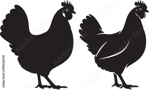 Black silhouettes of two chickens, one standing and one slightly turned, isolated on white background, farm animals.