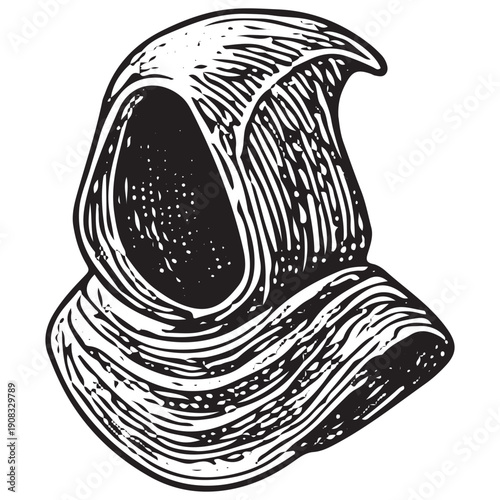 Mystic Hood Engraving Fantasy Wizard Cloak Occult Illustration