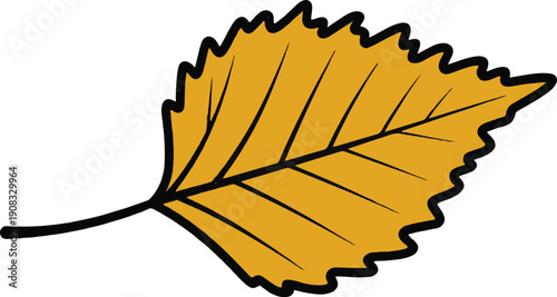 Yellow Betula Alleghaniensis Leaf Cartoon Botanical Drawing