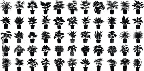 Large Collection of Potted Indoor House Plant Silhouettes Vector Set Isolated on White Background for Botanical, Home Decor and Interior Design