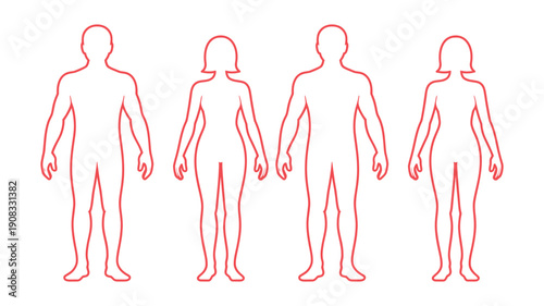 Four red human body outlines, two male and two female, representing gender and health concepts.