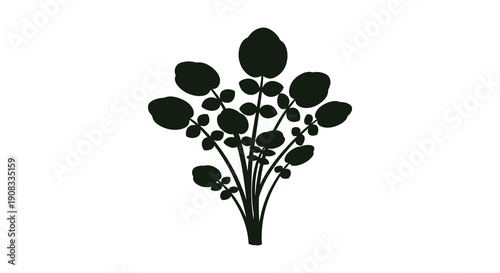 A dark silhouette depicts a cluster of rounded leaves and stems resembling a botanical illustration high quality professional