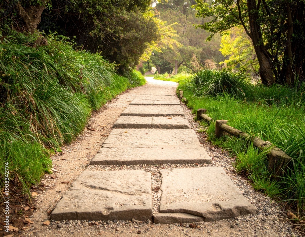 Fototapeta premium Scenic Pathway with Stone Slabs Surrounded by Lush Greenery