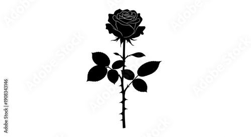 Single Black Rose Silhouette with Thorny Stem and Leaves on White Background