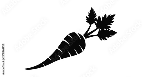 A striking black silhouette depicts a freshly harvested carrot with detailed foliage showcasing its natural form high quality