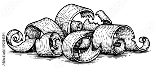 Pile of curly wood shavings in vintage woodcut engraving style