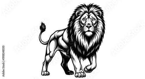 Majestic Lion Walking Confident Stance Isolated Black and White Ink Illustration Style