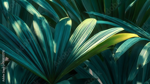 Close-up of Lush Green Tropical Leaves with Dramatic Sunlight.