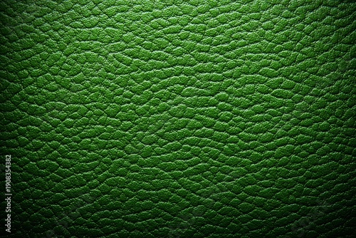 Textured Green Leather Background for Design Projects