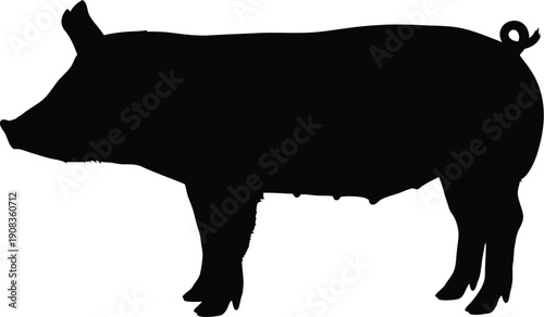 Silhouette illustration of a pig standing profile on white background viewed from side