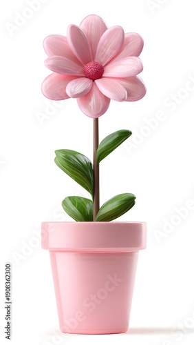 pink flower in pot