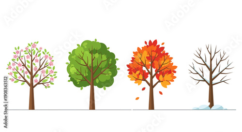 Four Seasons Trees: Spring, Summer, Autumn, Winter - Cycle of Nature