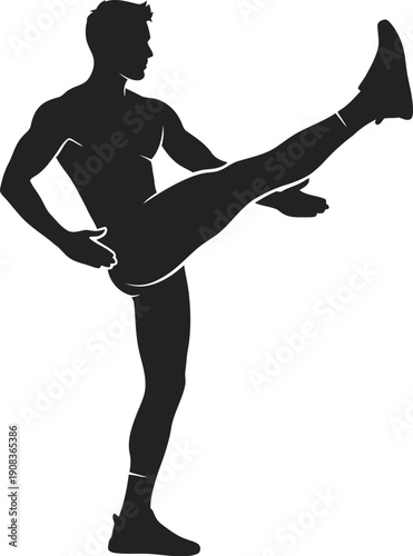 Silhouette of a man performing a martial arts kick